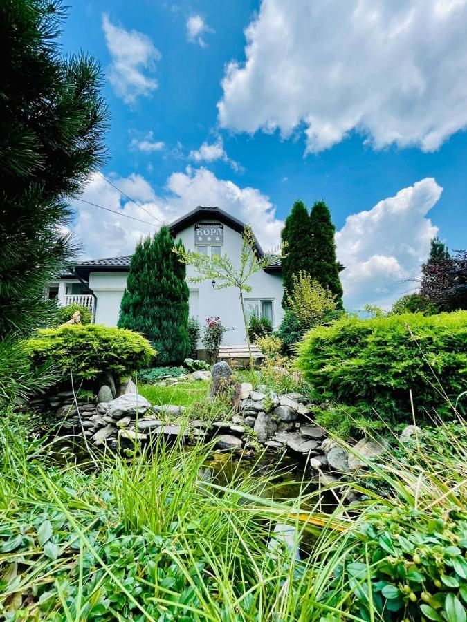 Agropensiunea ROPA Prundul Birgaului Exterior foto